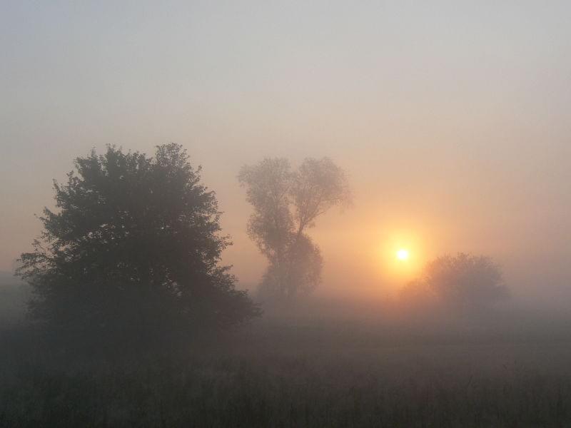 Dołączona grafika