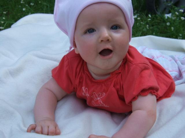 Bild
