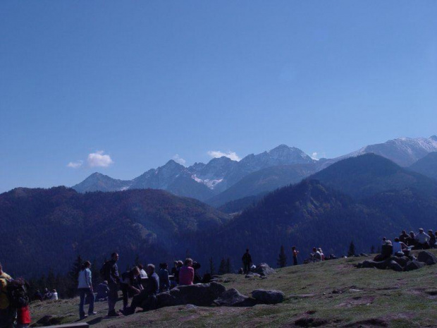 Lodowy Szczyt z Rusinowej Polany #tatry #góry #murzasichle #RusinowaPolana