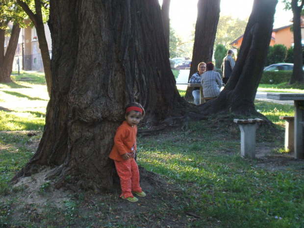 ulubiony moj park