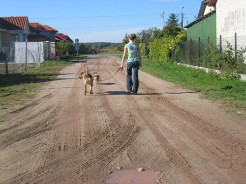 Idziemy na spacerek