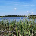 #Polesie #Lubelskie #jezioro #laka