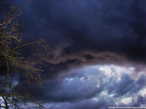 Mroczne niebo ... #niebo #chmury #horror #konary #burza