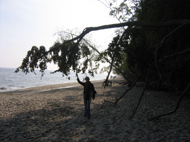 Spacer po wzgórzach i po plaży - Gdynia Redłowo! #Gdynia