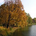 Łazienki ... w złotych kolorach liści