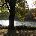 Łazienki ... w złotych kolorach liści