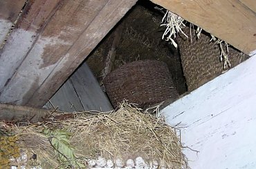 02-09-2004r. #Muzeum #Tokarnia