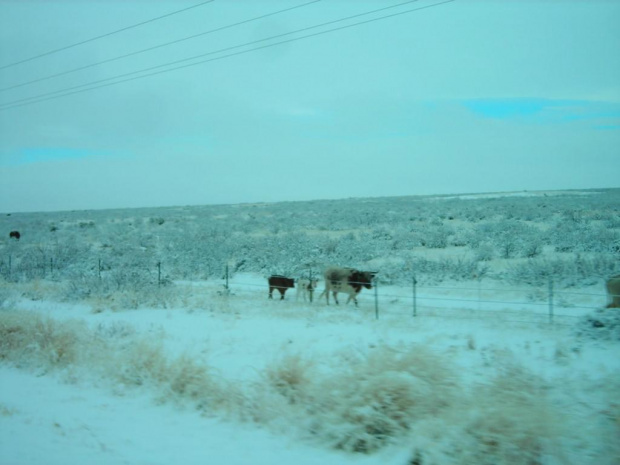 Zima w NM