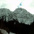 tatry #tatry #zakopane #gory #drzewa #zima