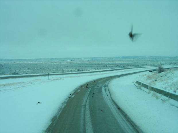 Zima w NM