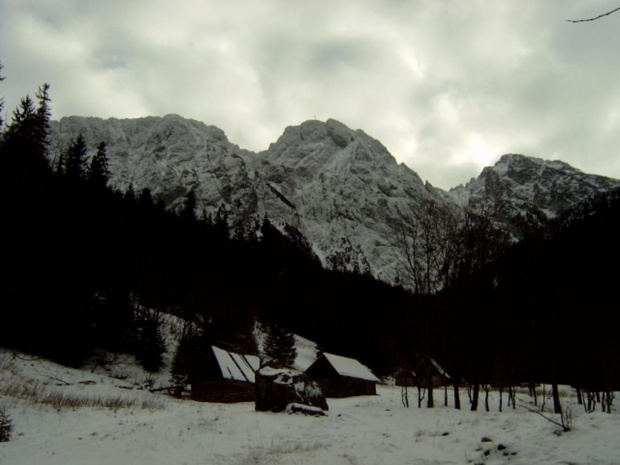 tatry #tatry #zakopane #gory #drzewa #zima