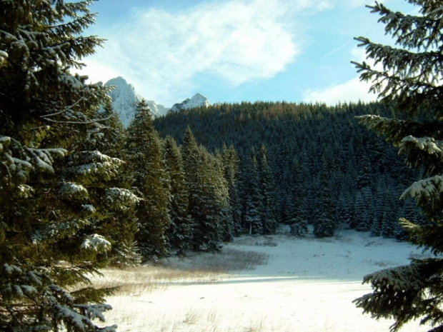 tatry