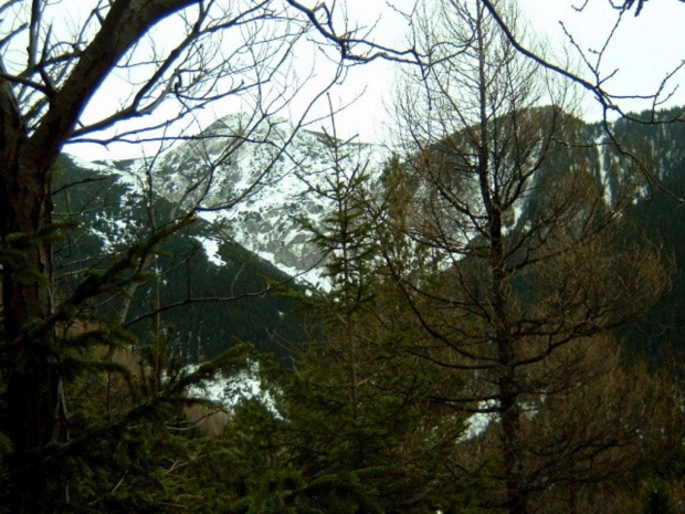 tatry,góry