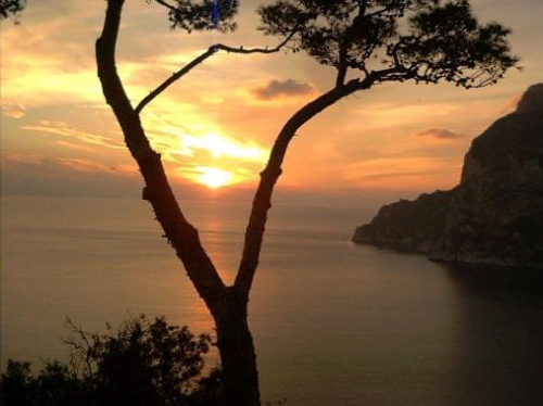 #Italia #Capri