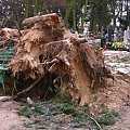 25.01.2007 - IDZIE ZIMA
