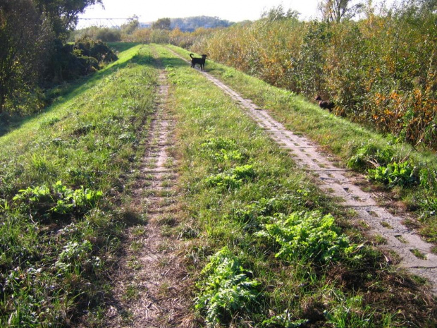 22.10.2006 - BRZEGIEM REDŻI