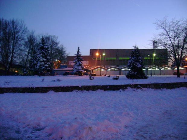 Park Schoena, Park przy ulicy Żeromskiego i cmentarz żydowski