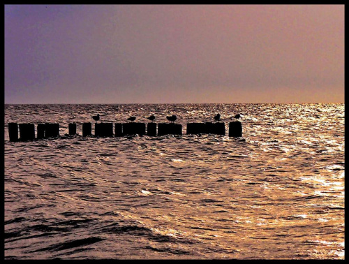 Wspomnienie wakacji #ZachódSłońca #morze #wakacje