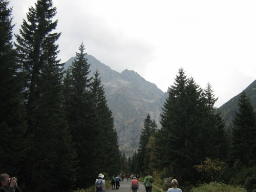 Zator Zakopane 2006