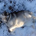Alaska