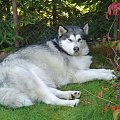 Alaska