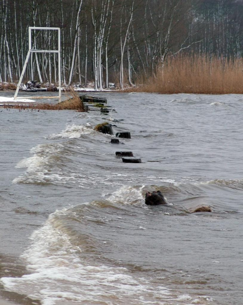 Fale Zalewu... [Śliwka]