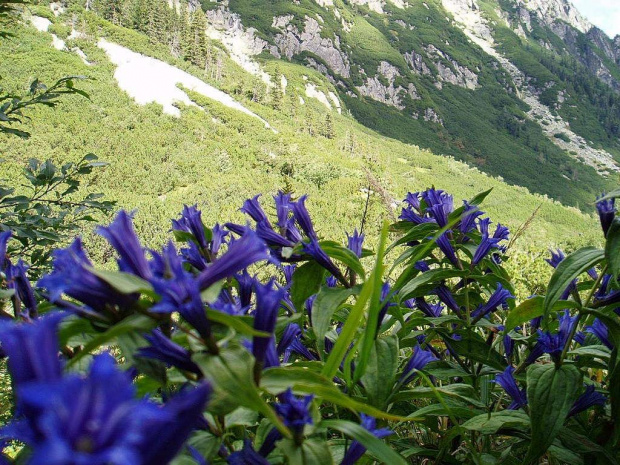 Tatry