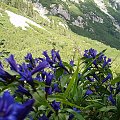 Tatry