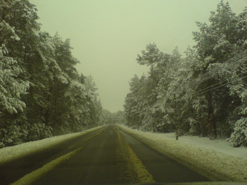 4 w czasie jazdy samochodem, zza szyby (60km/h)