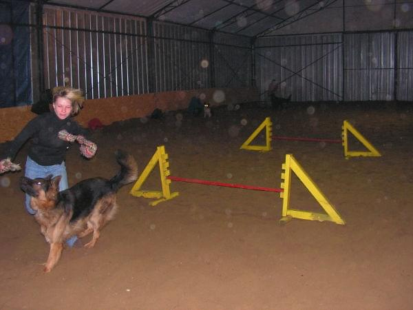 trening 11.02.07 #agility