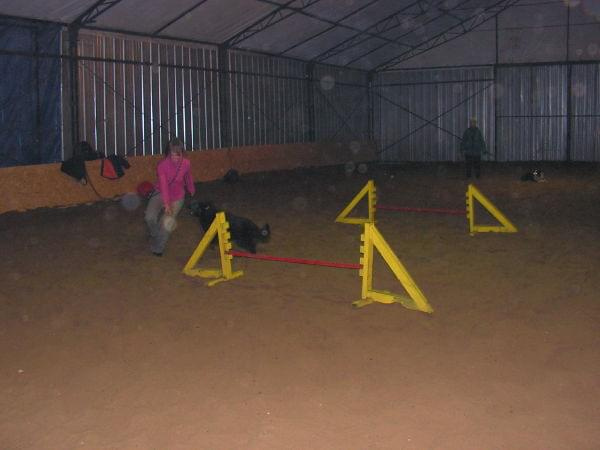 trening 11.02.07 #agility