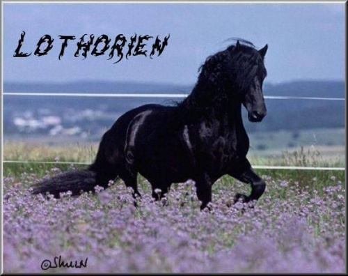 lothorien