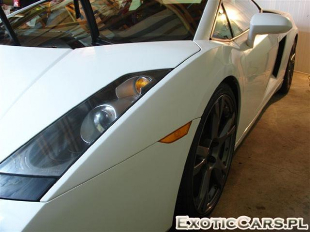 Gallardo