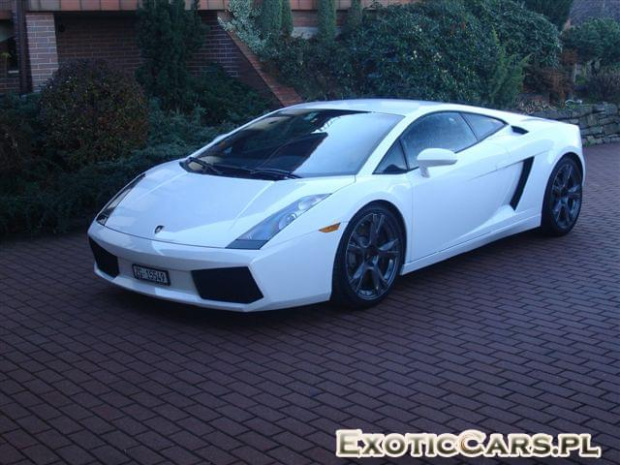 Gallardo