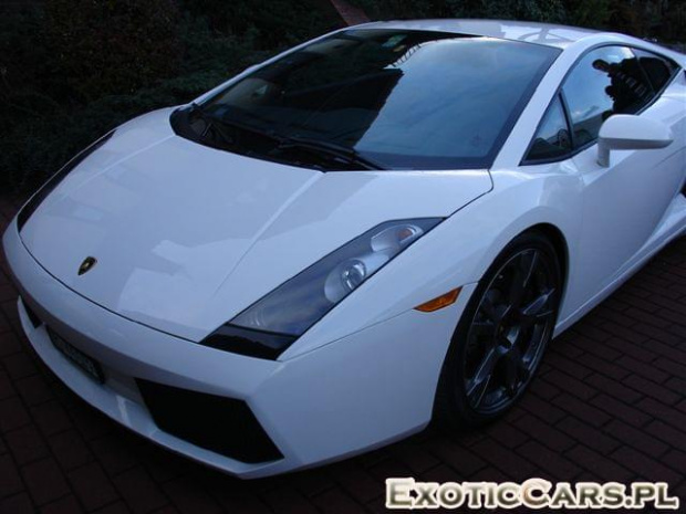 Gallardo