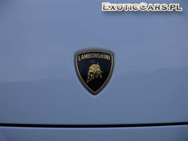 Gallardo