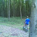 Ścieżka dydaktyczna w lasach między Czarną, Dąbrówkami a Rakszawą #RowerPielgrzymka