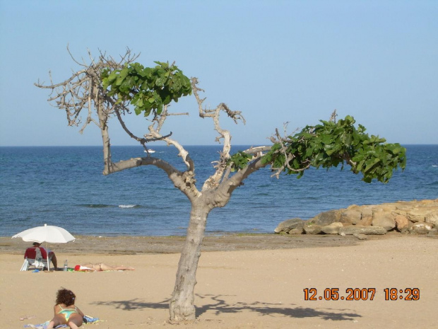 Torrevieja-playa los Locos