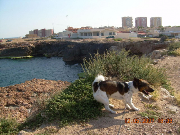 Torrevieja-playa los Locos