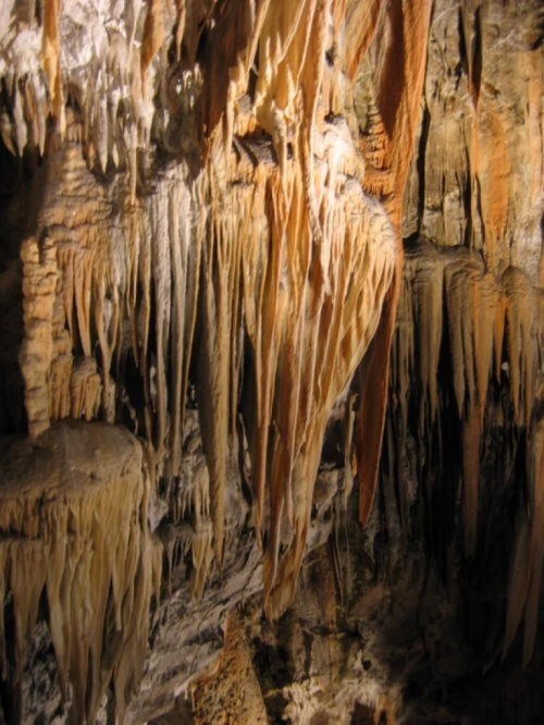 Jaskinia Postojna #Postojna #Chorwacja #Słowenia