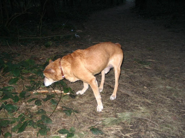 a to moje własne