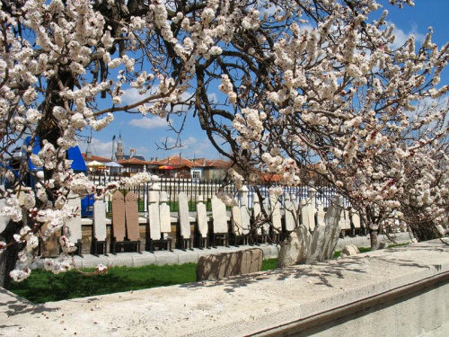 Wiosna... i cmentarz #turcja