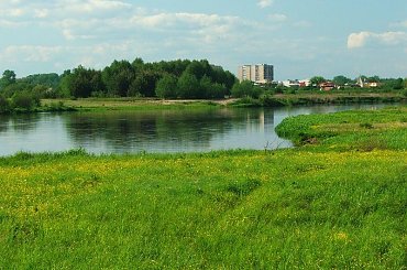 Za Wieprzem widać Dęblin #Dęblin #rzeka #Wieprz #łąka