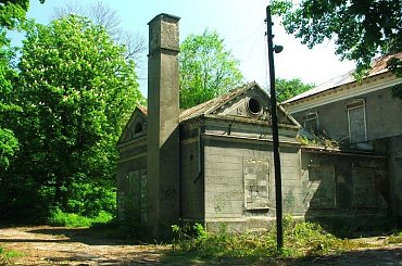 Zrujnowany pałac w Olesinie #Olesin #park #zabytek #zabytki