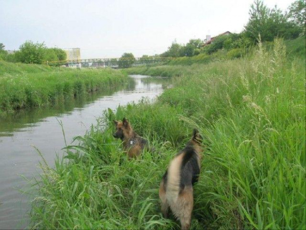 nad rzeką