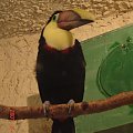 WYCIECZKA DO ZOO Z HANIĄ PRZEMKIEM SZYMKIEM I LIVIĄ