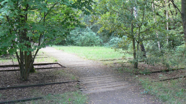 Natur-Park Schöneberger Südgelände w Berlinie #Berlin