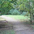 Natur-Park Schöneberger Südgelände w Berlinie #Berlin