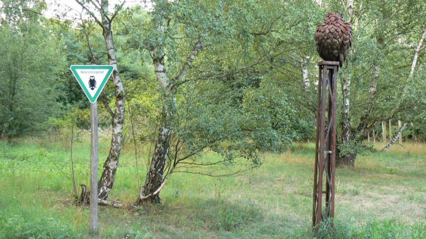 Natur-Park Schöneberger Südgelände w Berlinie #Berlin