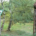 Natur-Park Schöneberger Südgelände w Berlinie #Berlin